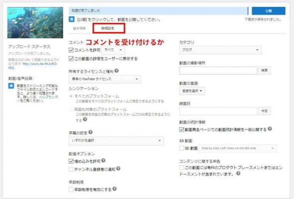 youtubeの詳細設定