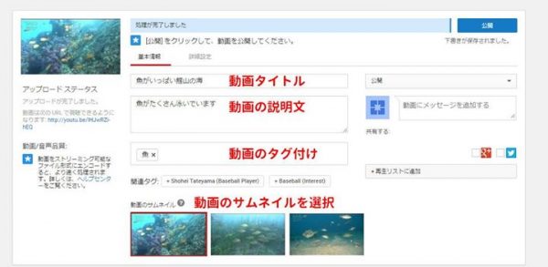 youtubeの設定