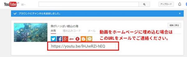 youtubeに動画があがりました